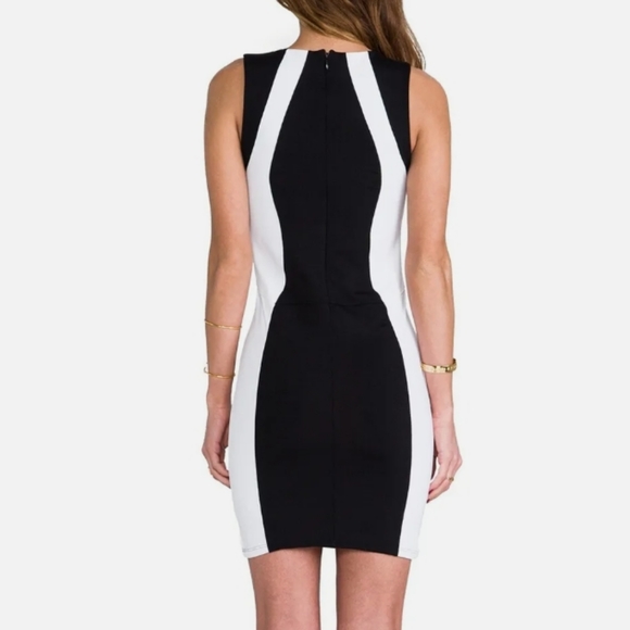 DAVID LERNER Colorblock Dress - Picture 2 of 7